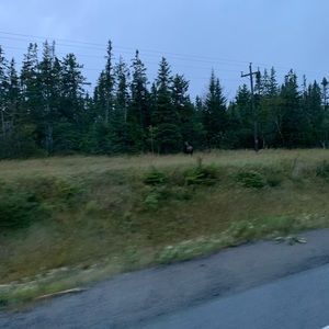 Meet your Posher, Adam